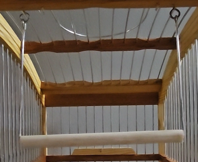 Cage Swing