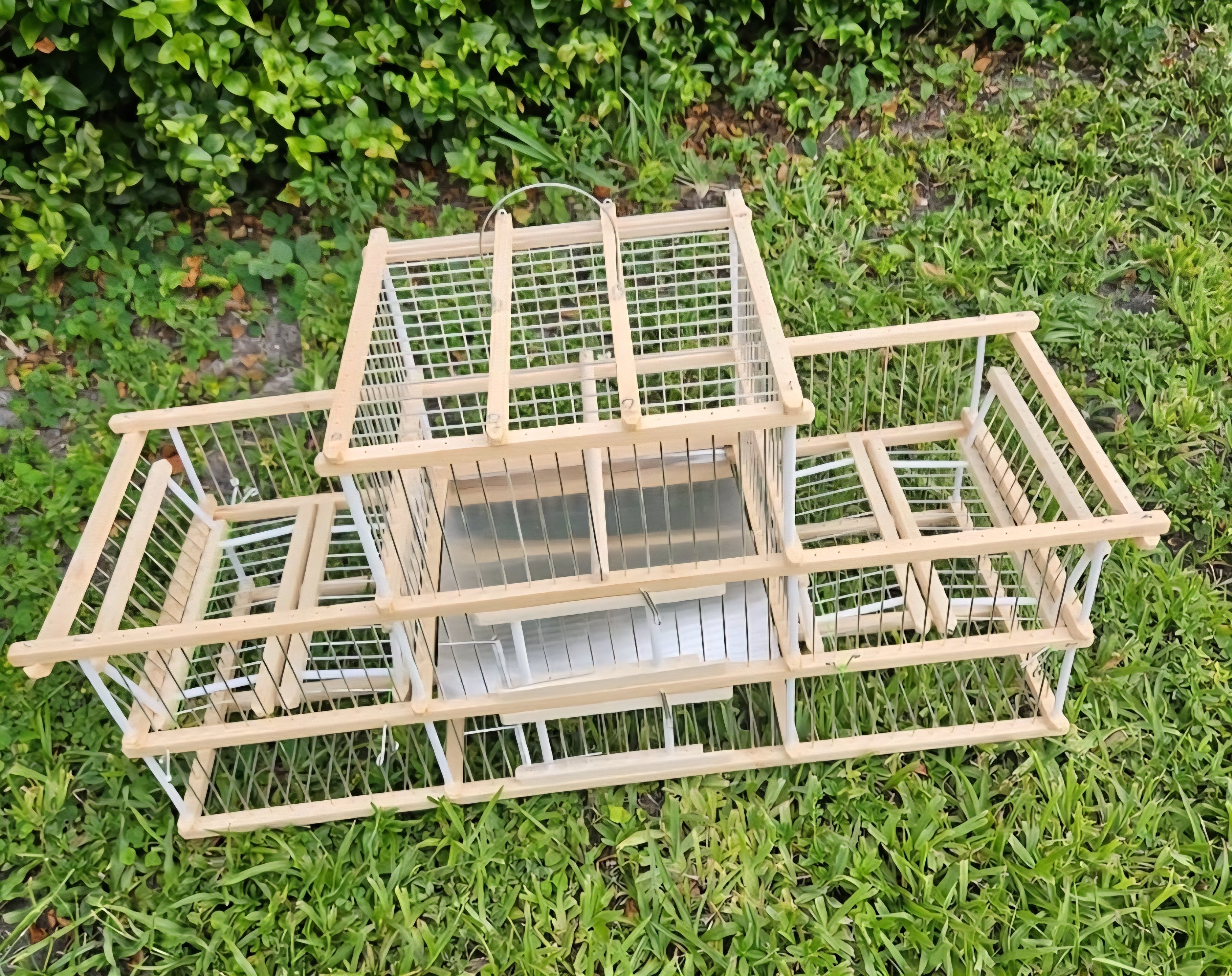 Trap Cage / Jaula De Trampa