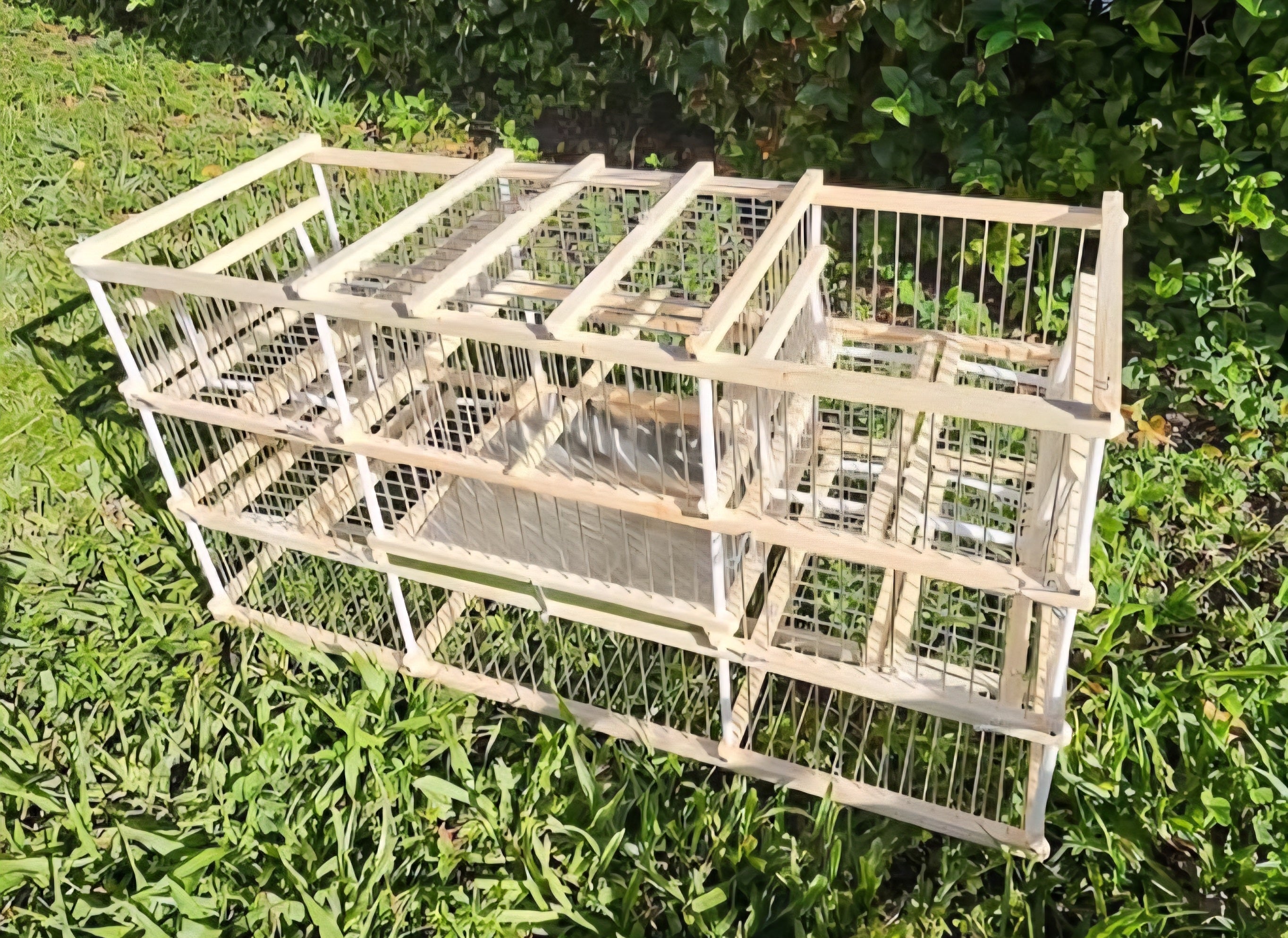 LARGE Trap Cage / Jaula De Trampa GRANDE